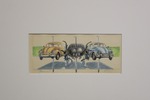 Beetle Collection II by Todd Taylor