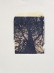Untitled Polaroid Transfer 4 by Anita Stewart