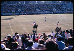 Horse, Flags, and Color Guard, 1978 Homecoming Football Game by unknown