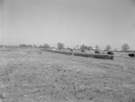 1950s ROTC in Formation on Field 2 by Opal R. Lovett
