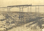Pecos High Bridge Carrying Southern Pacific Railroad by unknown