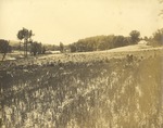 Clearing on State Normal School Farm, later named Atkins Farm 1 by unknown