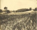 Clearing on State Normal School Farm, later named Atkins Farm 2 by unknown