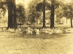 State Normal School Students Participate in Class Outside on Grass by unknown