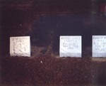Gravestones in Cemetery 8 by Rayford B. Taylor