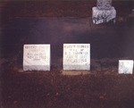 Gravestones in Cemetery 9 by Rayford B. Taylor