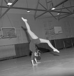 Female Gymnast Performing Handstand Inside Gymnasium by Opal R. Lovett