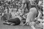 Football Game Against Alabama A & M 33 by Opal R. Lovett