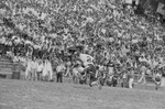 Football Game Against Alabama A & M 40 by Opal R. Lovett