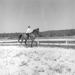 Riding Horses, 1973-1974 Local Scenes 2 by Opal R. Lovett
