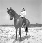 Riding Horses, 1973-1974 Local Scenes 6 by Opal R. Lovett