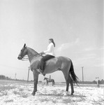 Riding Horses, 1973-1974 Local Scenes 8 by Opal R. Lovett