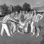 1970-1971 Gamecock Cheerleaders 4 by Opal R. Lovett