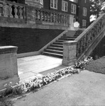 Flowers, 1971-1972 Daugette Hall Steps 2 by Opal R. Lovett