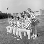 1972-1973 Gamecock Cheerleaders 18 by Opal R. Lovett