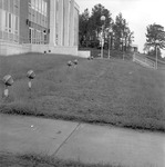 Outdoor Views, 1972-1973 Campus Scenes 6 by Opal R. Lovett