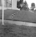 Outdoor Views, 1972-1973 Campus Scenes 7 by Opal R. Lovett