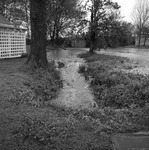 Drainage in Jacksonville, Alabama 3 by Opal R. Lovett