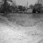 Drainage in Jacksonville, Alabama 4 by Opal R. Lovett