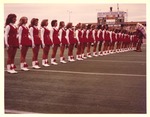 Marching Ballerinas on Field, 1977 Pioneer Bowl Against Lehigh University by Opal R. Lovett