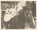 Horse Named Bell Carrying Palmer, Kathleen, and Clarence Daugette by unknown