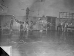 Demonstrations Inside Gymnasium during Physical Education Exhibition 1 by Opal R. Lovett