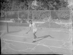 James Nixon, 1951-1952 Tennis Team by Opal R. Lovett
