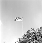 United States Flag on Pole 2 by Opal R. Lovett