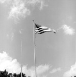 Flags, 1976 Celebrating America's Bicentennial 1 by Opal R. Lovett