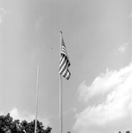 Flags, 1976 Celebrating America's Bicentennial 2 by Opal R. Lovett