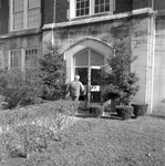 Walking Across Campus, 1975-1976 Mimosa Themes 3 by Opal R. Lovett