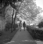 Spring 1976 Campus Scenes 11 by Opal R. Lovett