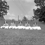 Alabama High School Athletic Association's 1975-1976 Cheerleading Clinic 30 by Opal R. Lovett