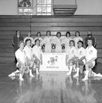 Men's Gymnastics 1977 Team 1 by Opal R. Lovett
