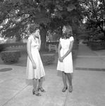 Alpha Kappa Alpha, 1977-1978 Scenes 3 by Opal R. Lovett