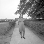 Alpha Kappa Alpha, 1977-1978 Scenes 5 by Opal R. Lovett