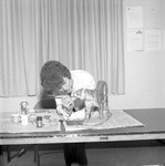 Student Hobbies, 1976-1977 Mimosa Themes 3 by Opal R. Lovett