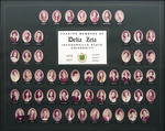 Delta Zeta, 1976-1977 Composite Collage of Members by Delta Zeta