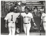 Gamecock Baseball Players High Five, circa 1980s by unknown