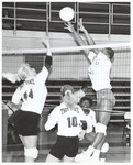Lady Gamecock Volleyball, 1997 Players in Action 2 by William Edward Hill