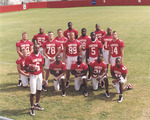 Group of Gamecock Football Players on Field, circa 2002 by Steve Latham