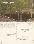 Grant, Alabama | Cathedral Caverns by Jacksonville State University