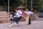 The Complete Works of William Shakespeare (abridged) [revised] Again (2025) | Image 025 by Jacksonville State University