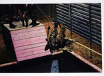 ROTC Scenes, 2002 Viking Pelham 94 by unknown