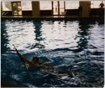 Rangers, circa 1990s Combat Water Survival Training 7 by unknown