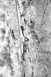 JSU Students Rappel or Rock Climb 23, circa 1980s by unknown