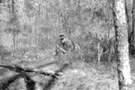 Scenes, circa 1989 JSU ROTC Field Training Exercises FTX 5 by unknown