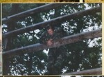 JSU ROTC, 1998 Basic Camp 10 by unknown