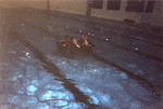 Rangers, circa 2002 Combat Water Survival Training 1 by unknown